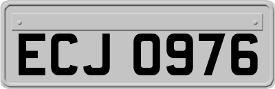 ECJ0976