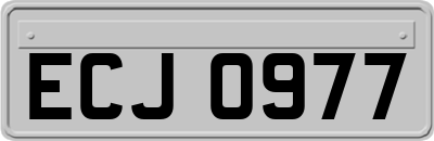 ECJ0977