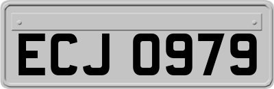 ECJ0979