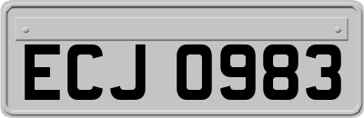 ECJ0983
