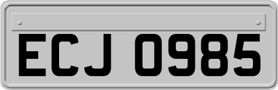 ECJ0985
