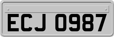 ECJ0987