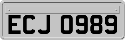 ECJ0989