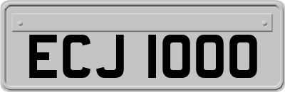 ECJ1000