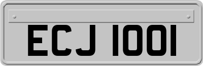 ECJ1001