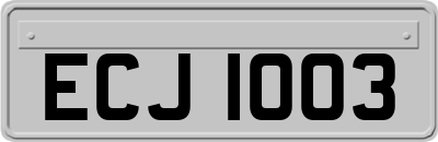 ECJ1003