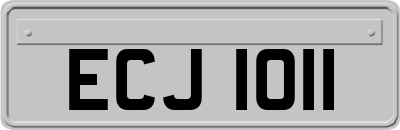 ECJ1011