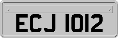 ECJ1012