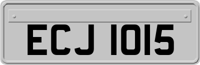 ECJ1015