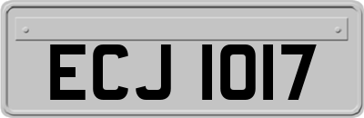 ECJ1017