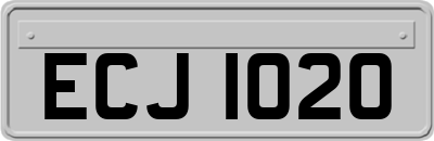 ECJ1020