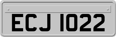 ECJ1022