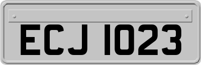 ECJ1023