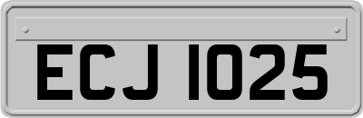 ECJ1025