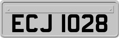 ECJ1028