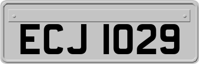 ECJ1029