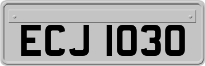 ECJ1030