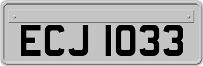 ECJ1033