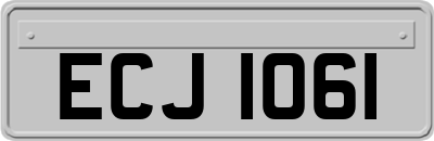 ECJ1061