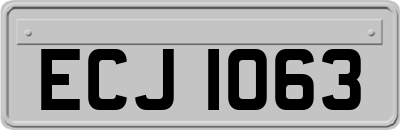 ECJ1063