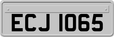 ECJ1065