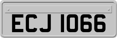 ECJ1066