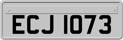 ECJ1073