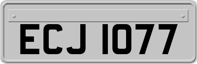 ECJ1077
