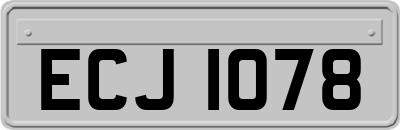 ECJ1078