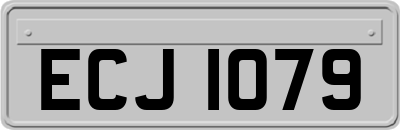 ECJ1079