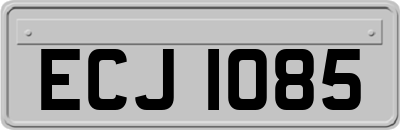 ECJ1085
