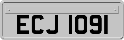 ECJ1091