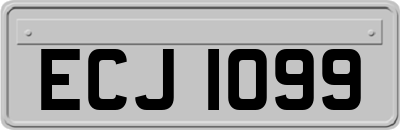 ECJ1099