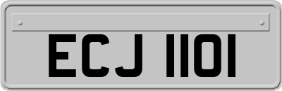 ECJ1101