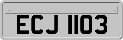 ECJ1103