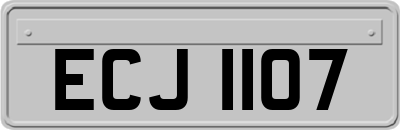 ECJ1107