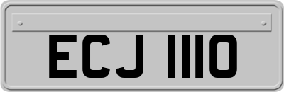 ECJ1110