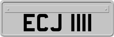 ECJ1111