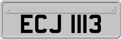 ECJ1113