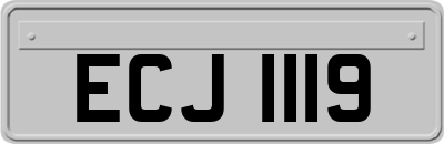 ECJ1119