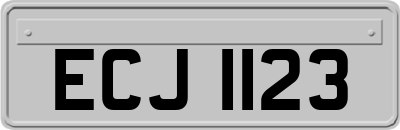 ECJ1123