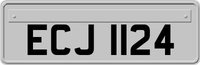 ECJ1124