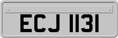 ECJ1131