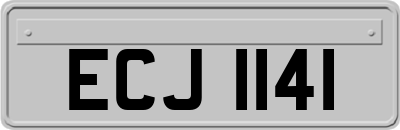 ECJ1141