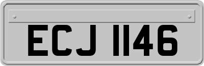 ECJ1146