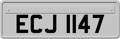ECJ1147