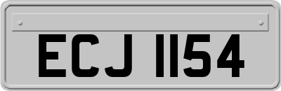 ECJ1154