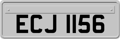 ECJ1156