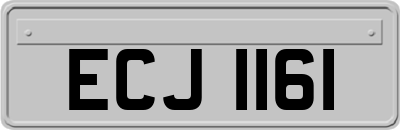 ECJ1161