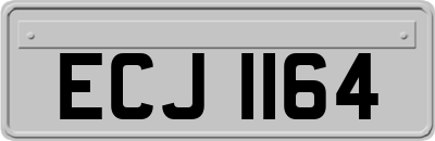 ECJ1164